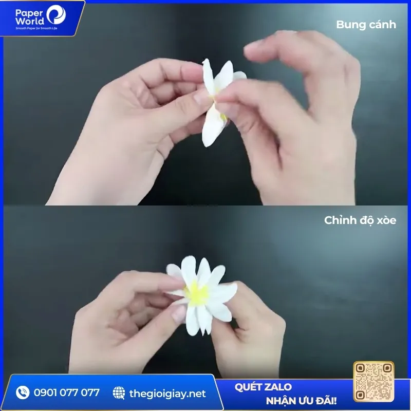Bung cánh hoa cúc họa mi làm bằng giấy vệ sinh