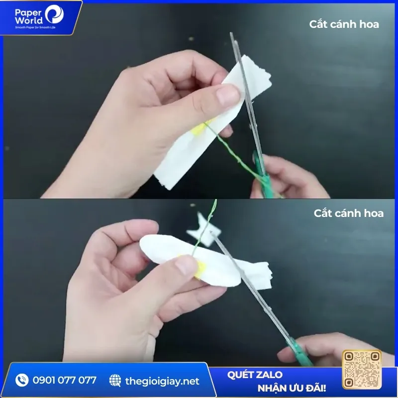 Cắt cánh hoa cúc họa mi bằng giấy vệ sinh