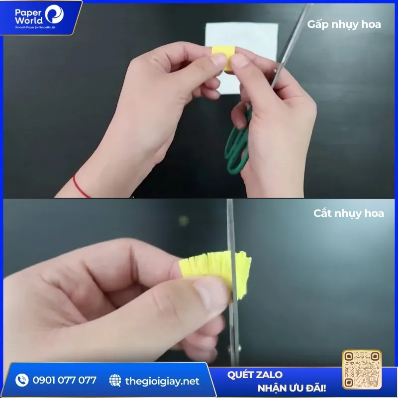 Cắt giấy nhún làm nhụy hoa cúc họa mi