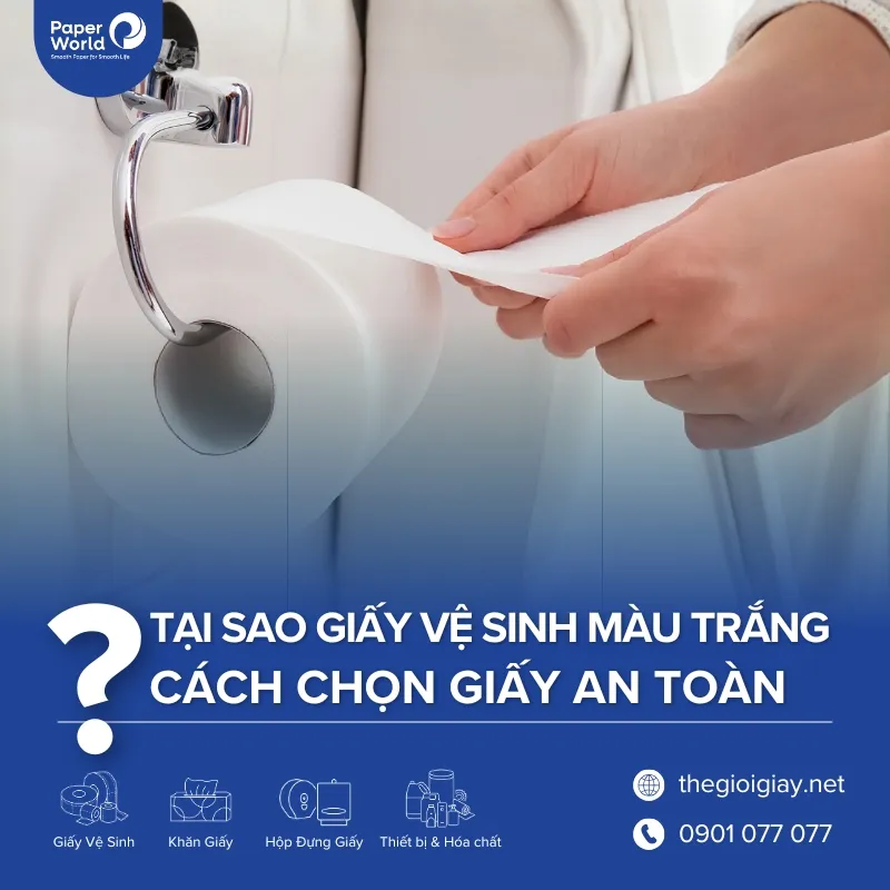 Tại sao giấy vệ sinh có màu trắng và cách chọn an toàn