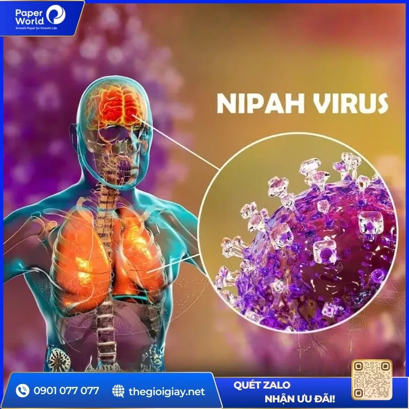 Do tỉ lệ tử vong cao và biến chứng nặng, Nipah virus được đánh giá là nguy hiểm