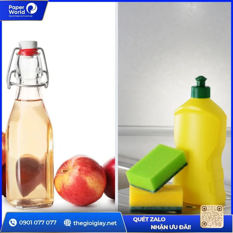 Bẫy diệt bồ hóng với giấm táo và nước rửa chén