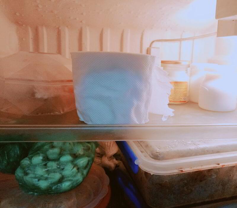 Cho giấy vệ sinh vào tủ lạnh 