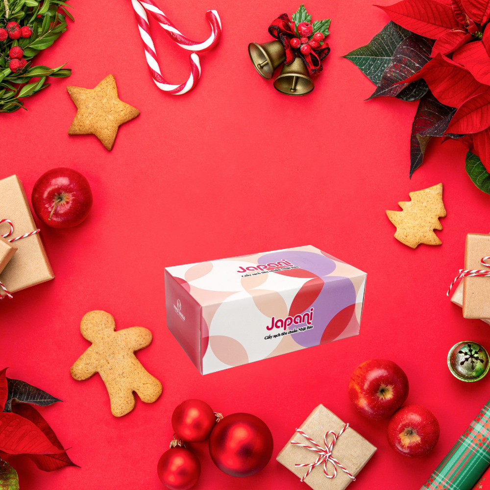 Dùng hộp khăn giấy Japani làm hộp quà Giáng sinh đơn giản