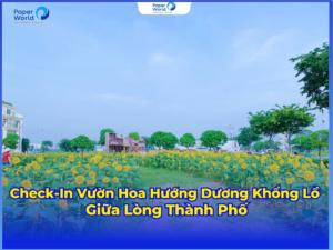 Check-In Vườn Hoa Hướng Dương Khổng Lồ Giữa Lòng Vạn Phúc City – Địa Điểm Sống Ảo Mới Toanh Ở TPHCM!