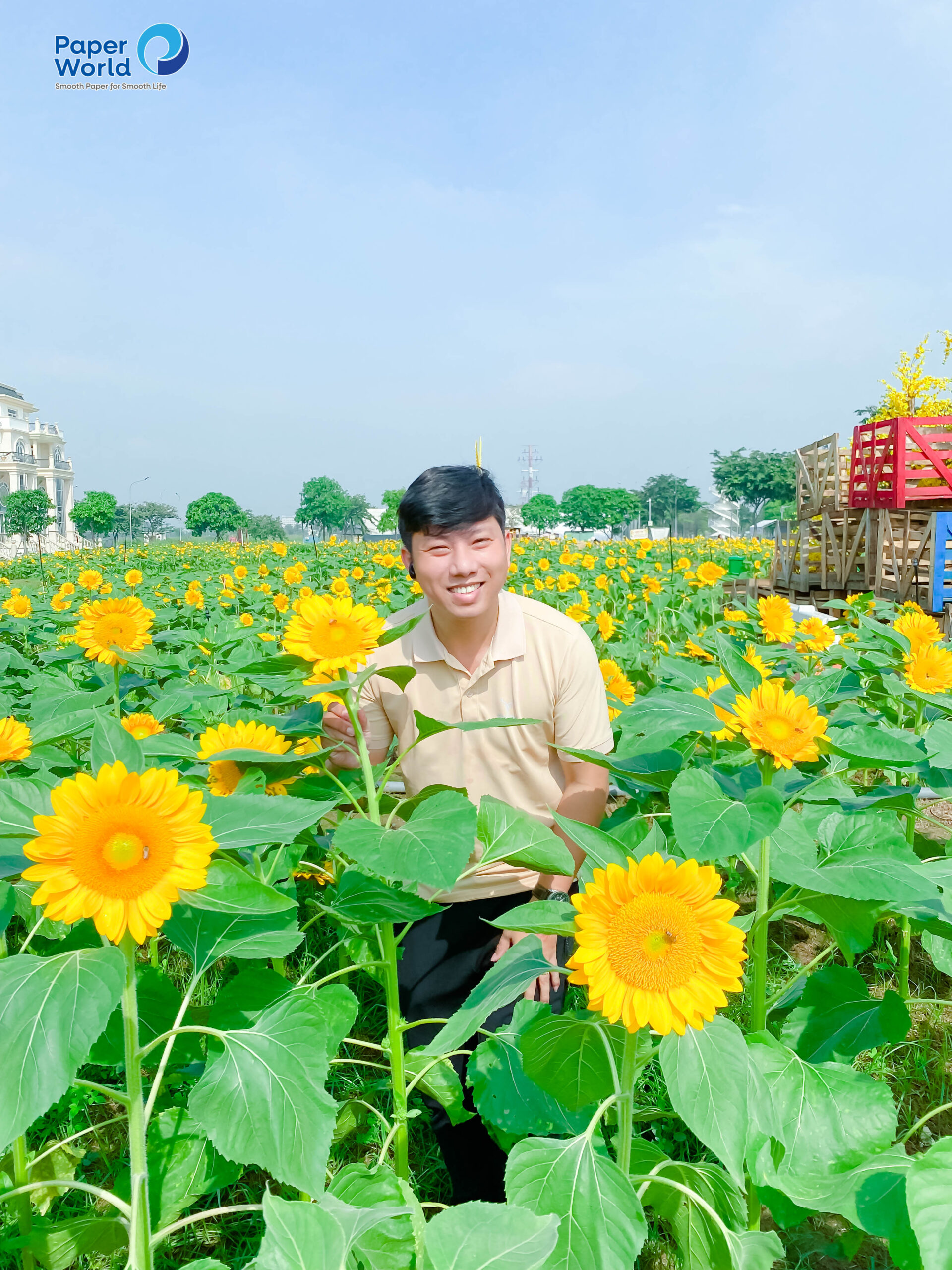 Tạo dáng bên hoa mặt trời