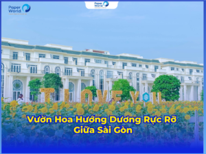 Vườn Hoa Hướng Dương Rực Rỡ Giữa Sài Gòn