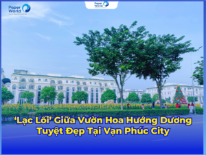 ‘Lạc Lối’ Giữa Vườn Hoa Hướng Dương Tuyệt Đẹp Tại Vạn Phúc City